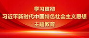 大鸡巴操美女免费在线观看学习贯彻习近平新时代中国特色社会主义思想主题教育_fororder_ad-371X160(2)